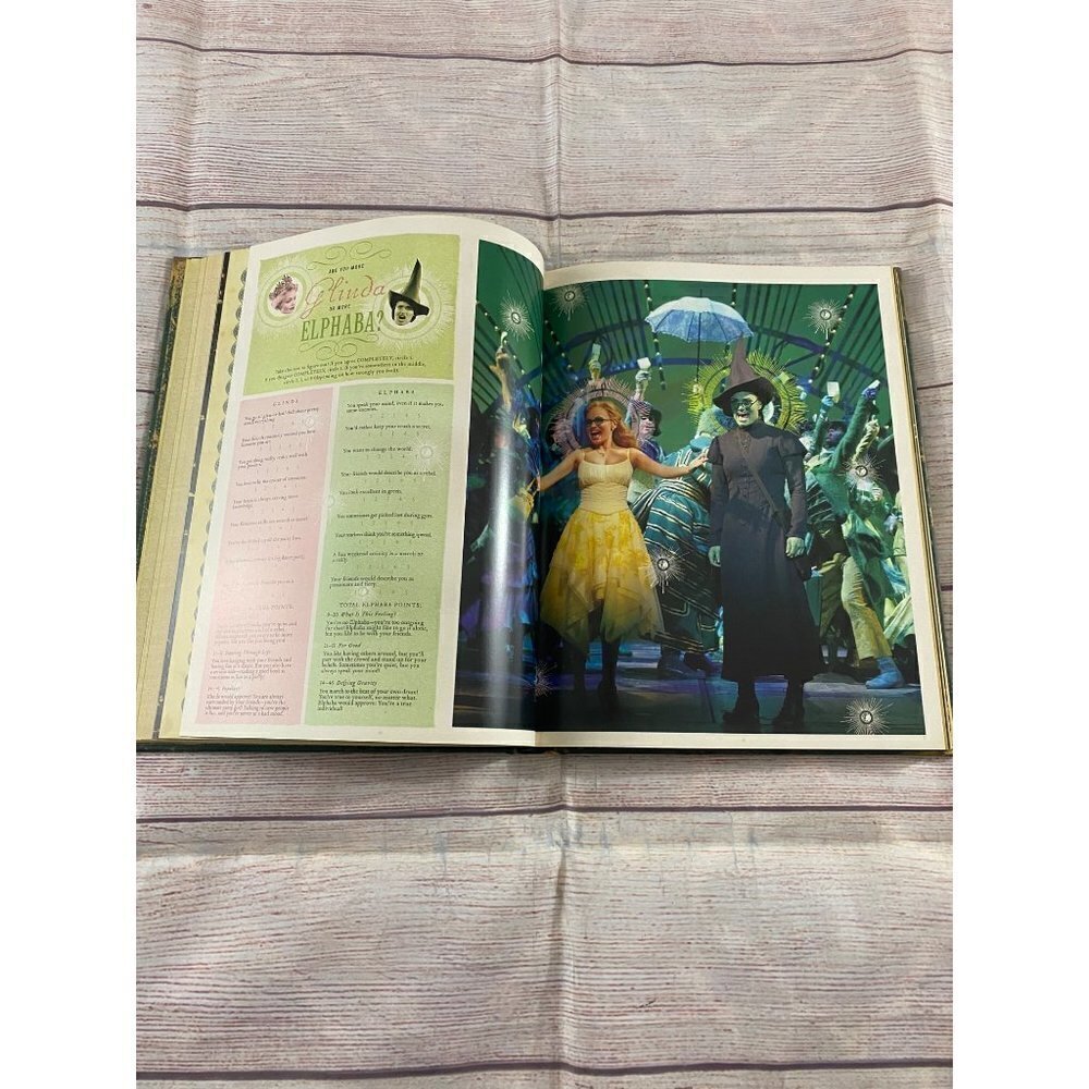 Wicked: The Grimmerie Broad Way Musical Hard Cover - Picture 10 of 11